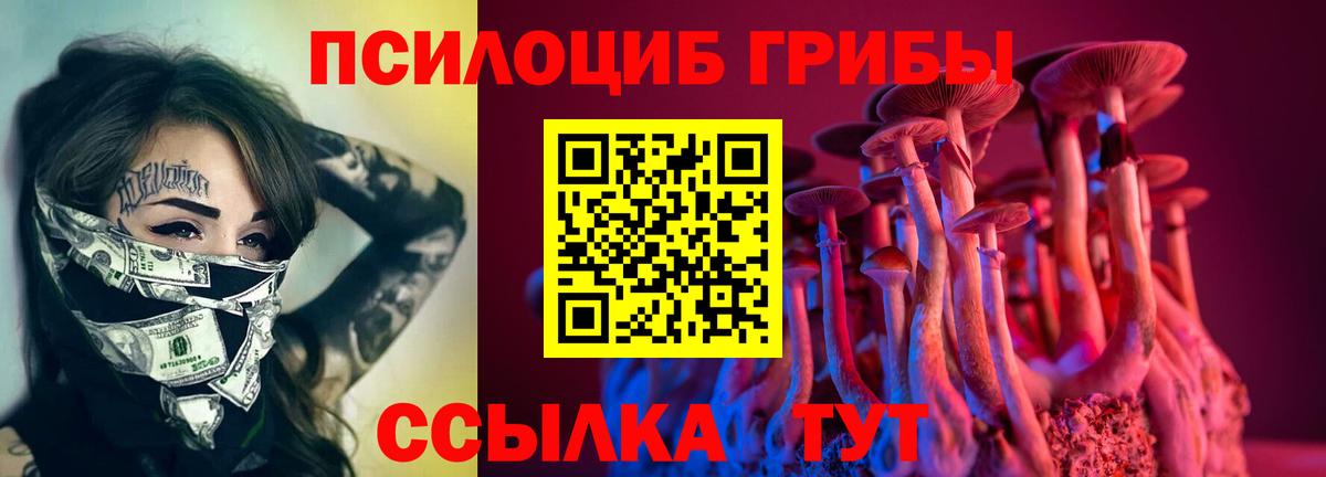 Псилоцибиновые грибы Cubensis  Вход с VPN  Каменка 
